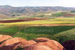 Image du Maroc Professionnelle de  Sur les pentes et collines dans la région de ben Slimane au Nord est de Casablanca, Les agriculteurs (Fellah) pratiquent  une agriculture traditionnelle sur leur lopin de, Mardi 5 Février 2002. (Photo / Abdeljalil Bounhar) 